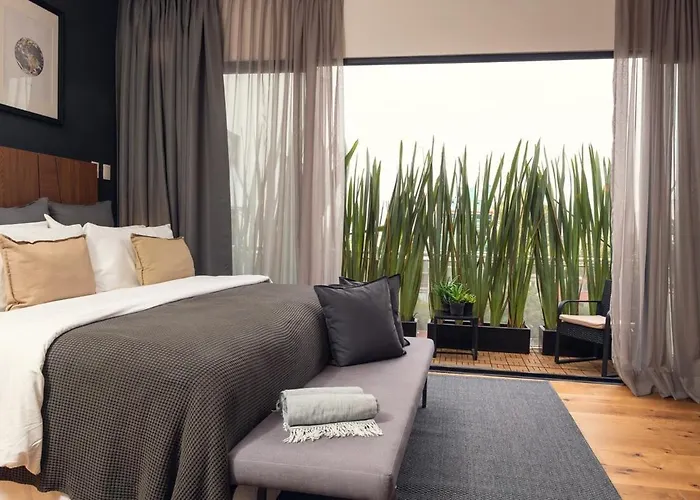 Luxury In Roma Norte Mexico City