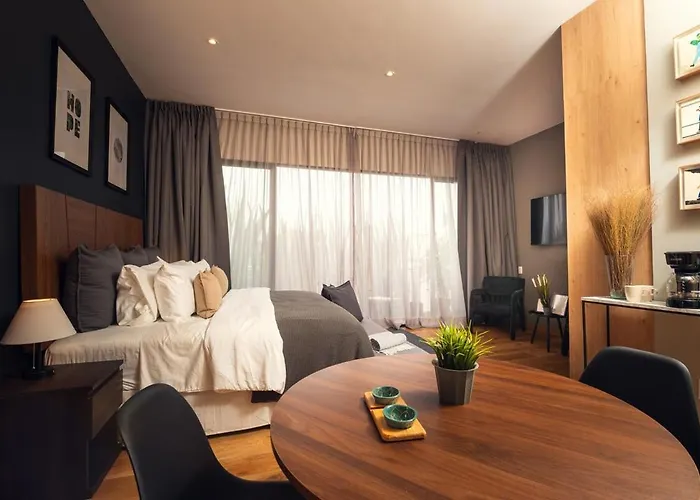 Luxury In Roma Norte Apartment